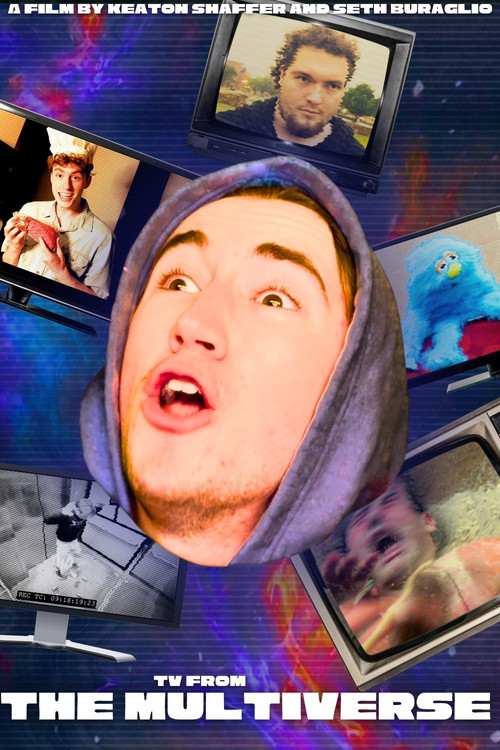 TV From The MULTIVERSE 2! (2025) movie poster