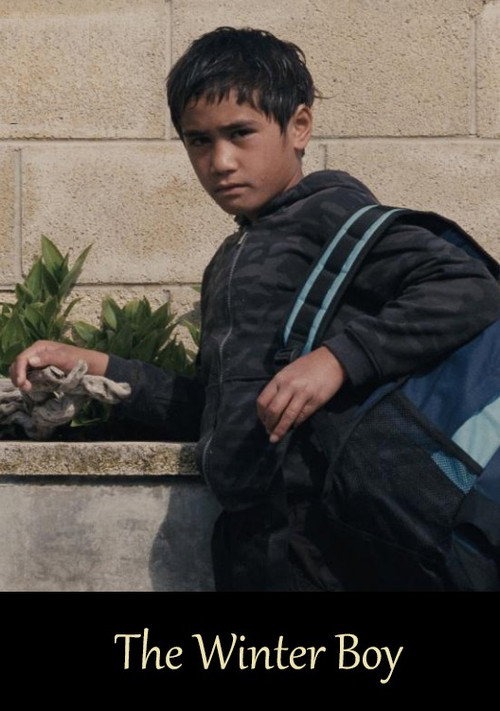 The Winter Boy (2010) movie poster