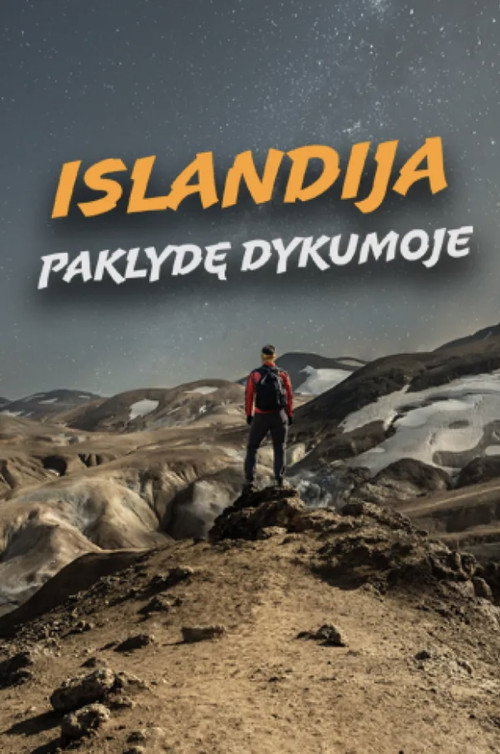 Iceland: Lost in the Desert (2024) movie poster