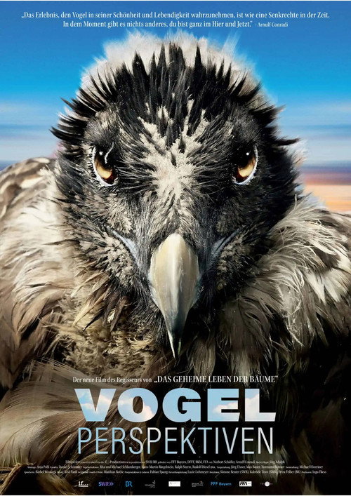 Bird's Eyeview (2022) movie poster