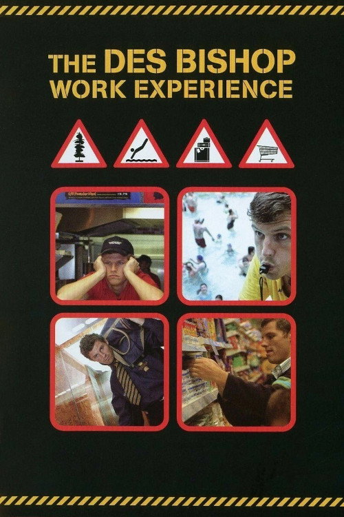The Des Bishop Work Experience (2004) TV show poster