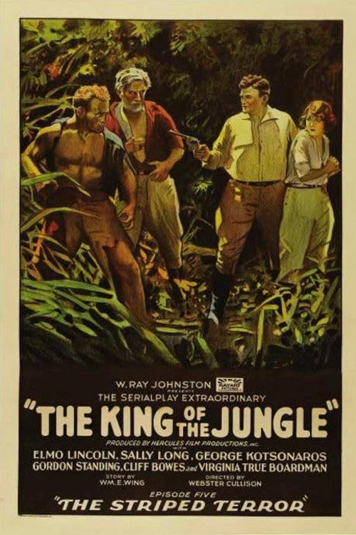 The King of the Jungle (1927) movie poster