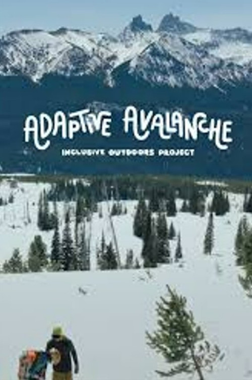 Adaptive Avalanche (2025) movie poster