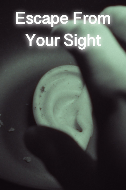 Escape From Your Sight (2025) movie poster