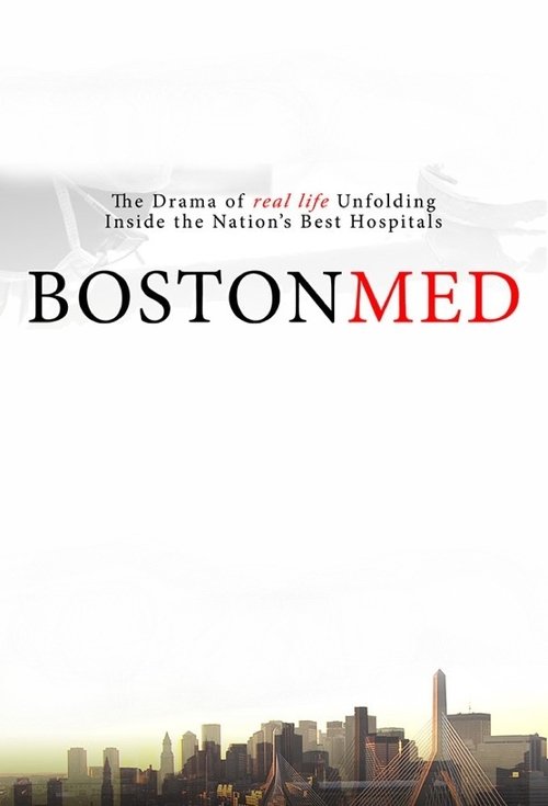 Boston Med (2010) TV show poster