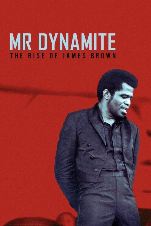 Mr. Dynamite: The Rise of James Brown (2014) movie poster