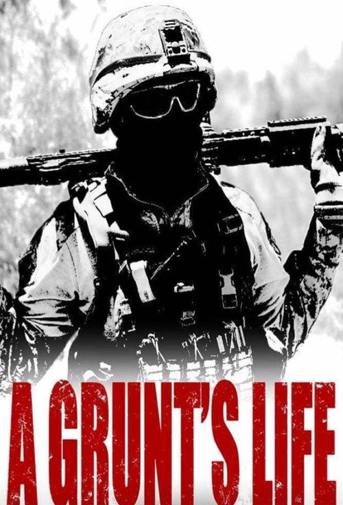 A Grunt's Life (2017) TV show poster