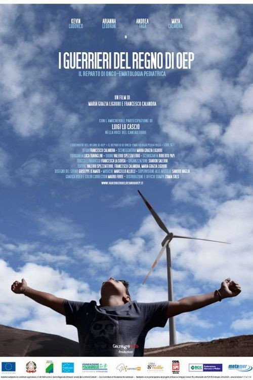 I Guerrieri del Regno di OEP (2019) movie poster