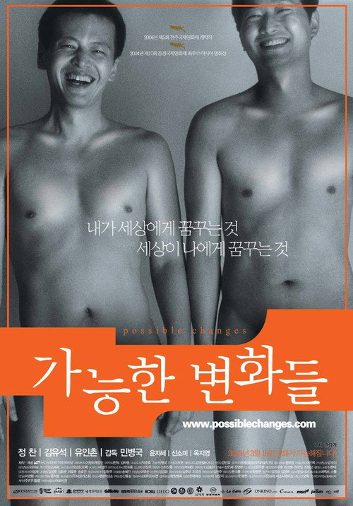 Possible Changes (2005) movie poster