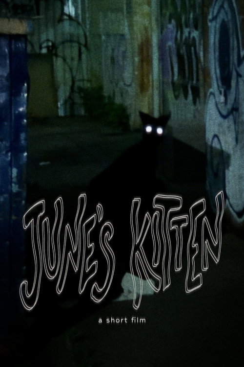 June's Kitten (2024) movie poster