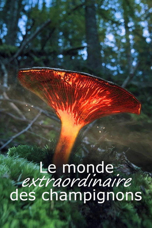 Le monde extraordinaire des champignons (2023) movie poster