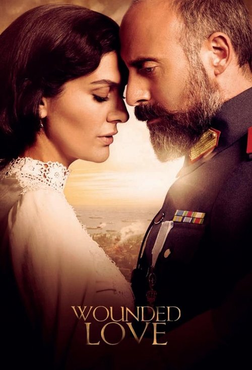 Wounded Love (2016) TV show poster