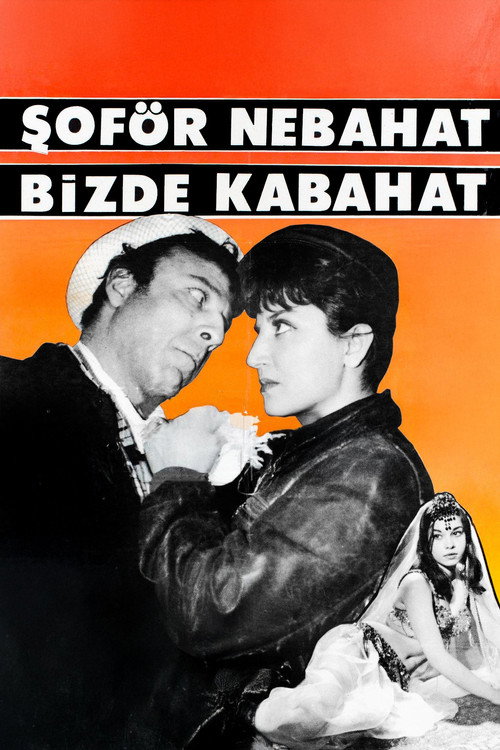 Şoför Nebahat Bizde Kabahat (1965) movie poster
