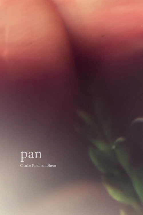 Pan movie poster