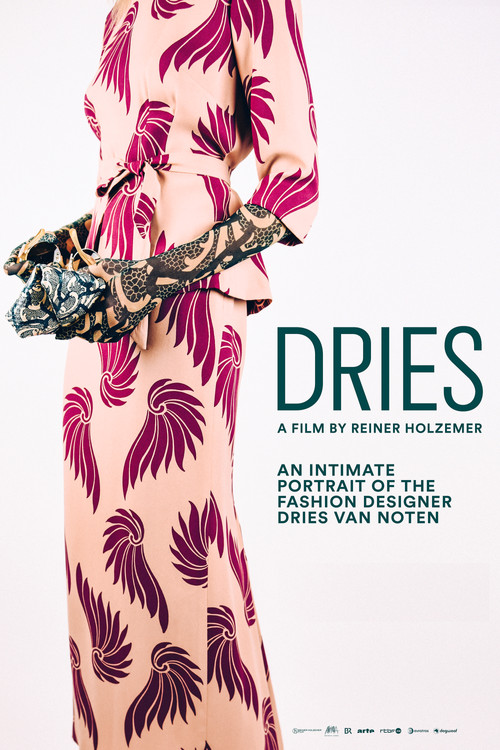 Dries (2017) movie poster