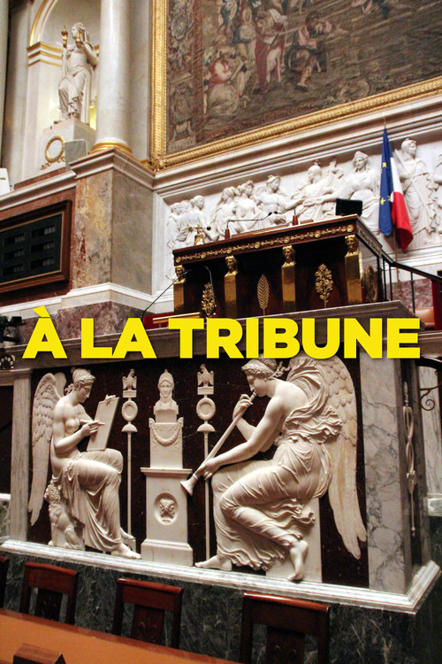À la tribune (2020) TV show poster