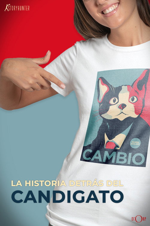 Along Came a Catdidate (2013) movie poster
