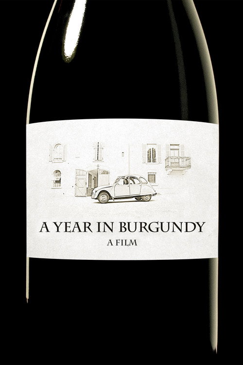A Year in Burgundy (2013) movie poster