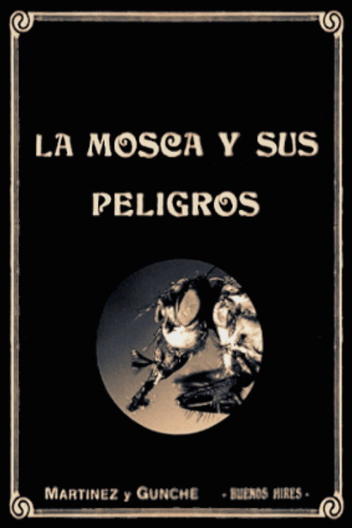 The Dangers of the Fly (1920) movie poster