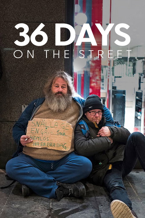36 Days on the Street (2018) TV show poster