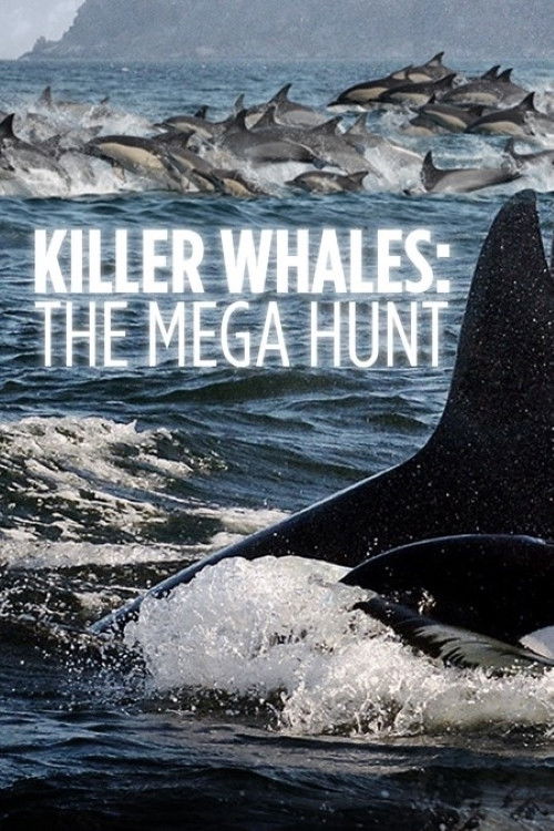 Killer Whales: the Mega Hunt (2016) movie poster
