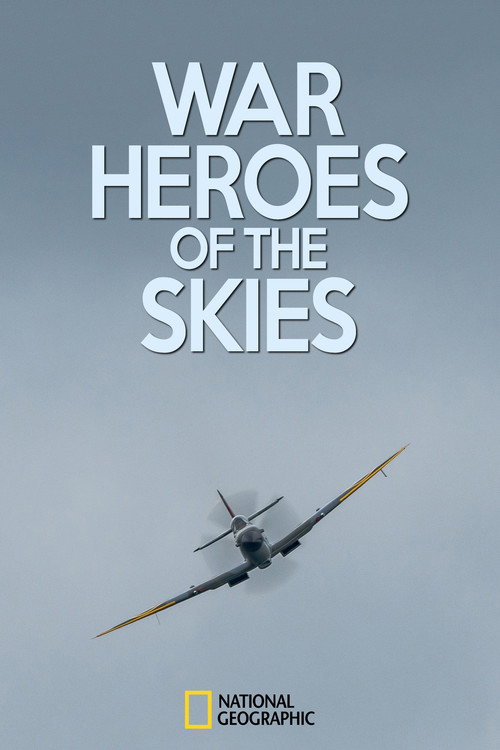 War Heroes of the Skies (2013) TV show poster