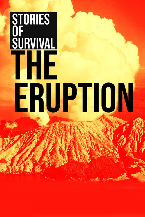 The Eruption: Stories of Survival (2020) movie poster
