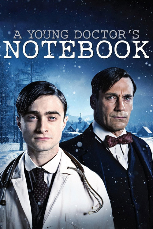 A Young Doctor's Notebook (2012) TV show poster