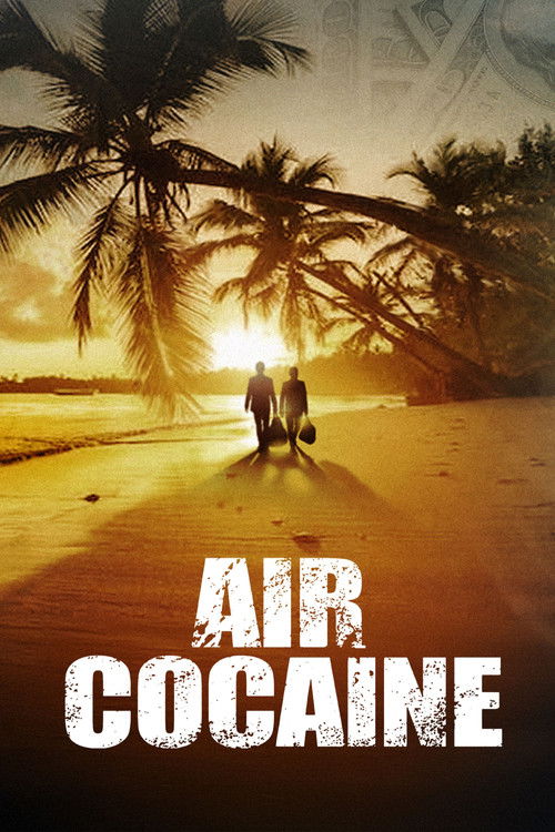 Air Cocaïne (2023) TV show poster
