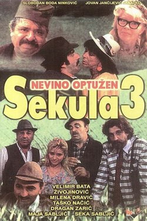 Sekula Innocent Accused (1992) movie poster