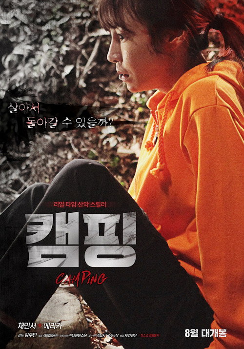 Camping (2016) movie poster