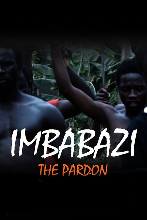 The Pardon (2013) movie poster