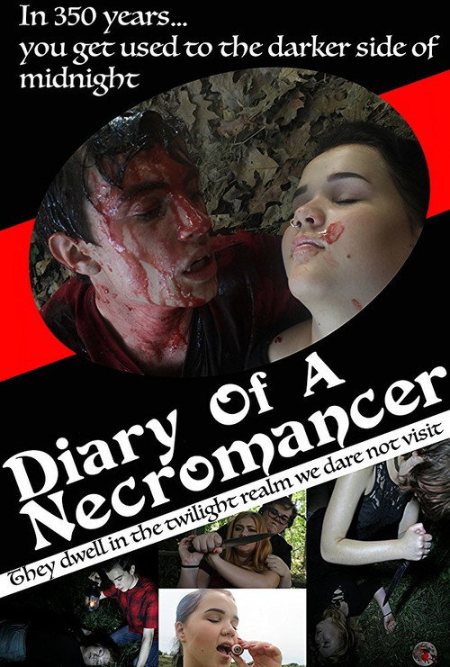Diary of a Necromancer (2017) movie poster