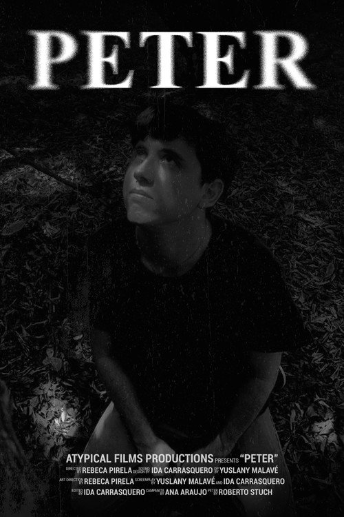 Peter: The price of youth (2024) movie poster