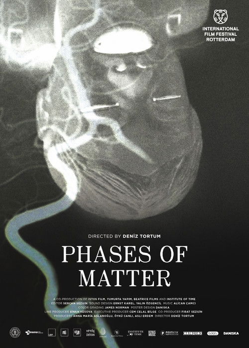 Phases of Matter (2020) movie poster