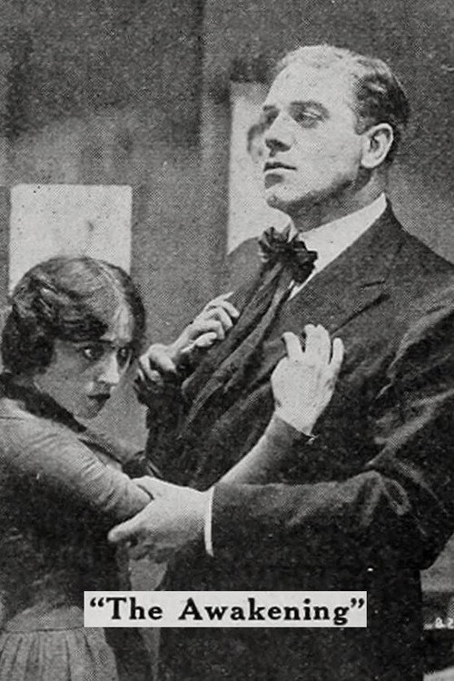The Awakening (1917) movie poster
