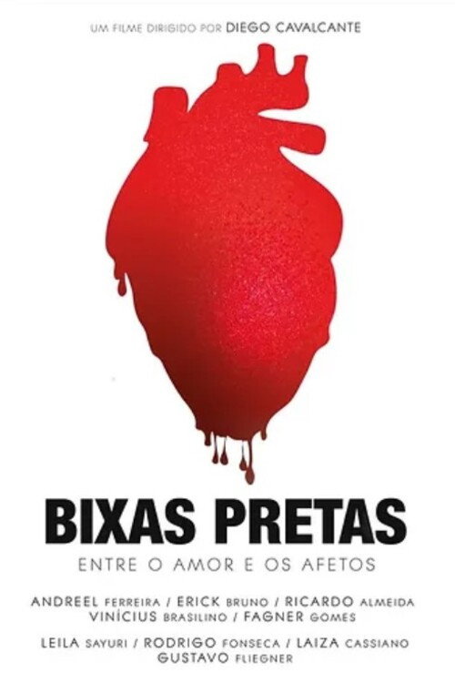 Bixas Pretas: Entre o Amor e Afetos (2023) movie poster
