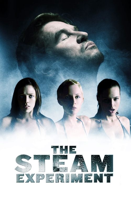 The Steam Experiment (2009) movie poster