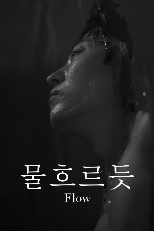 Flow (2026) TV show poster