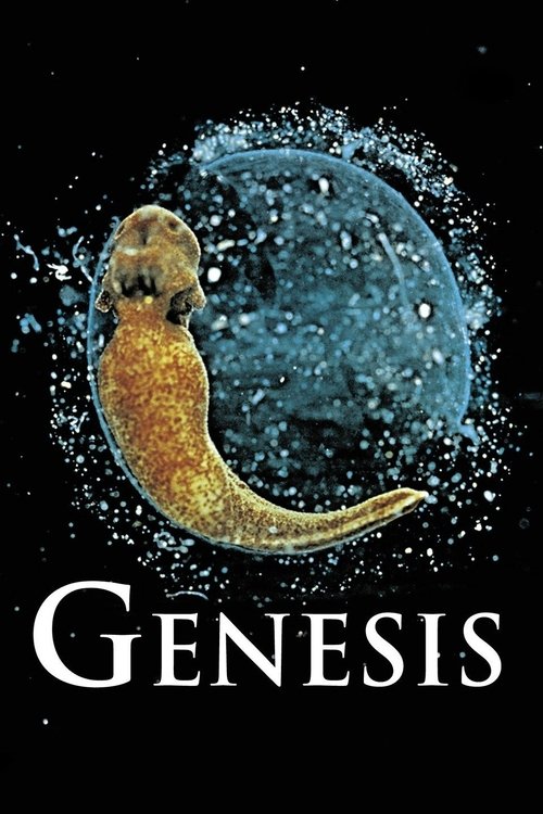 Genesis (2004) movie poster