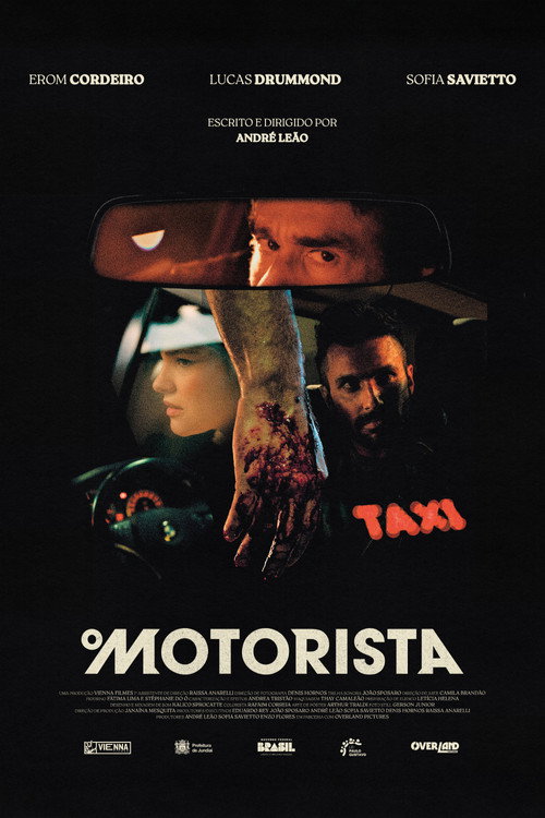 Driver (2025) movie poster