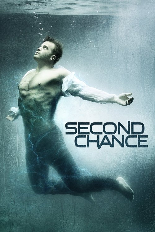 Second Chance (2016) TV show poster