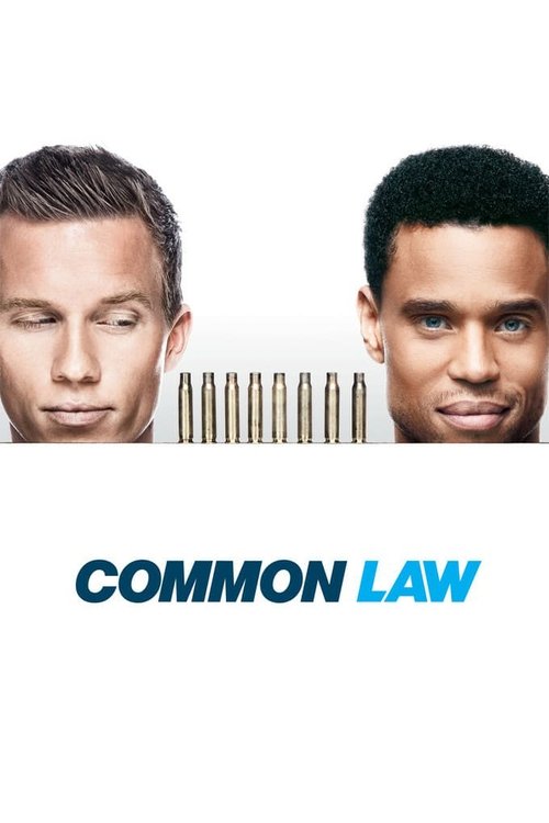 Common Law (2012) TV show poster