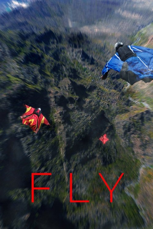Fly (2024) movie poster