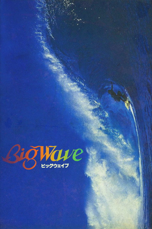 Big Wave (1984) movie poster