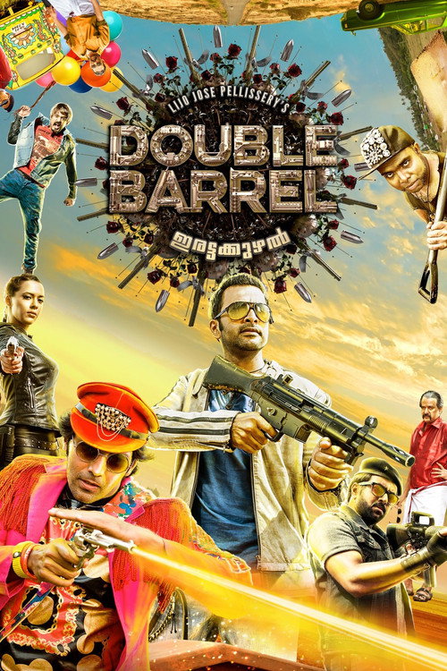 Double Barrel (2015) movie poster