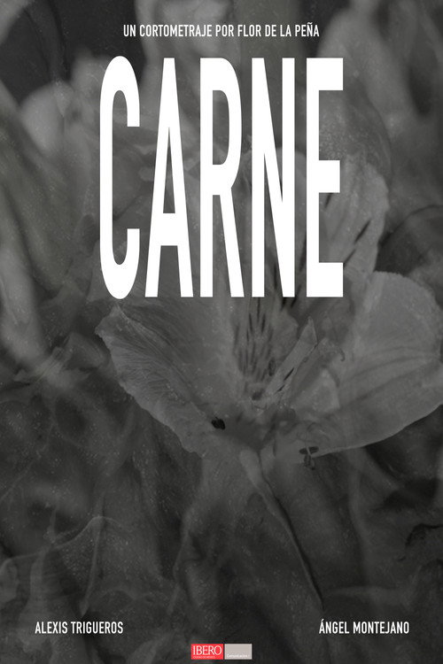 CARNE (2025) movie poster