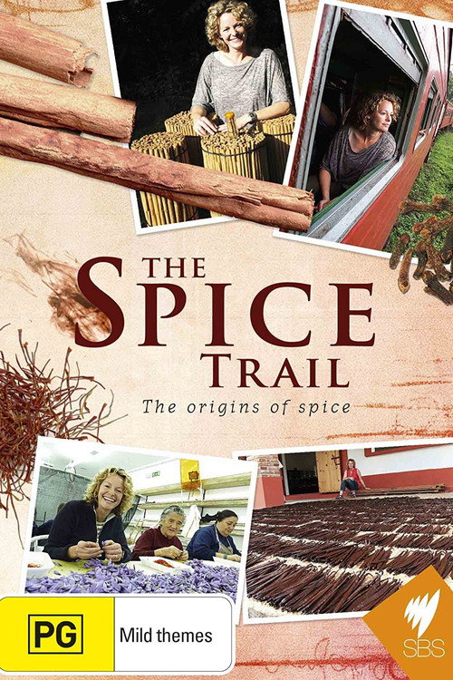 The Spice Trail (2011) TV show poster