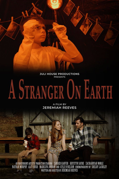 A Stranger On Earth movie poster