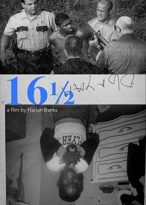 16 1/2 (2025) movie poster